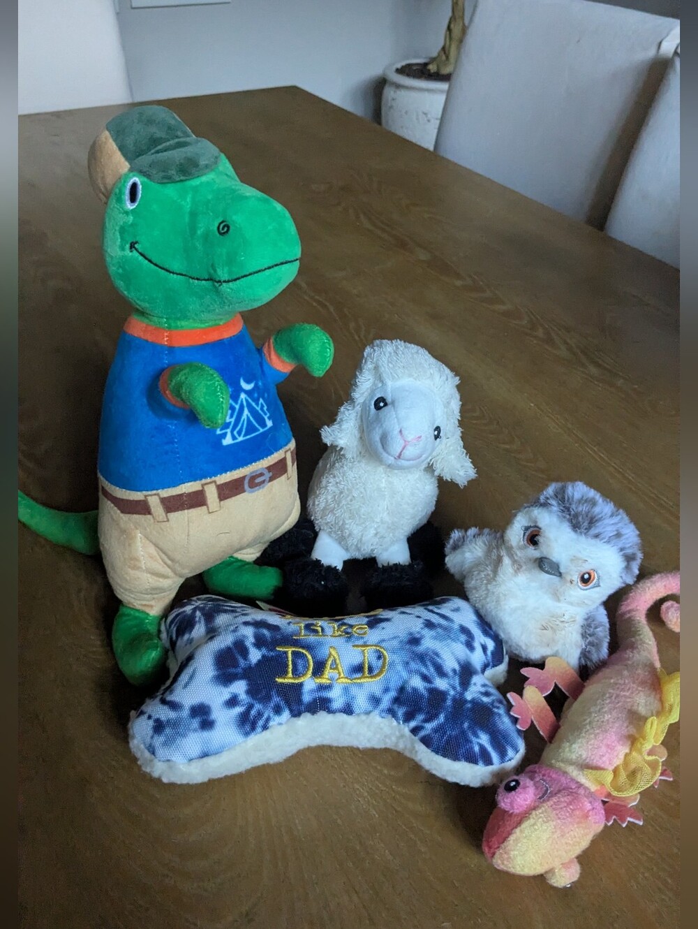 Five Plush Dog Toys
